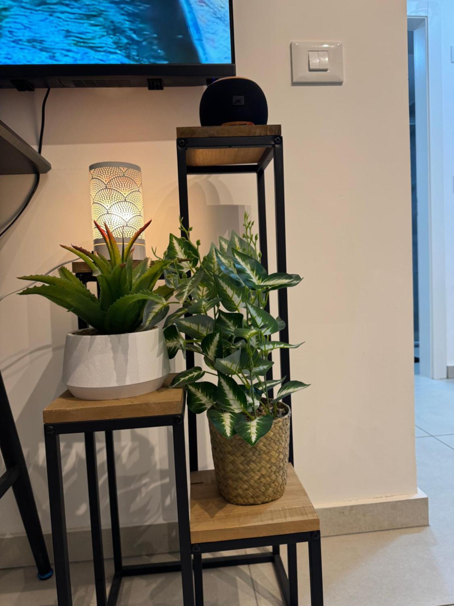 פסגת הדקל Apartment Eilat Bagian luar foto